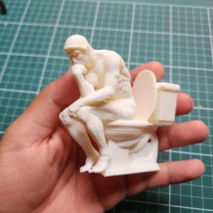Thinker on Toilet