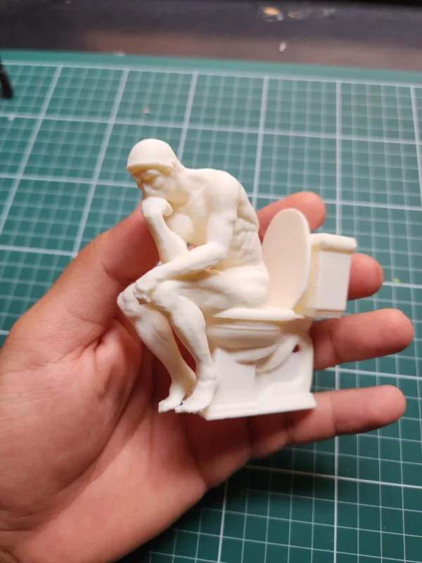 Thinker on Toilet