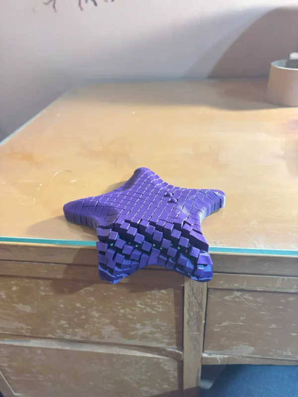 Flexible Starfish - Image 4